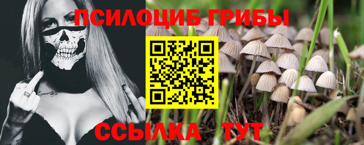Ижевск  Галлюциногенные грибы мицелий  Вход с VPN 